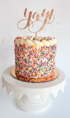 Sprinkle party cake by Whipped Bakeshop, Philadelphia